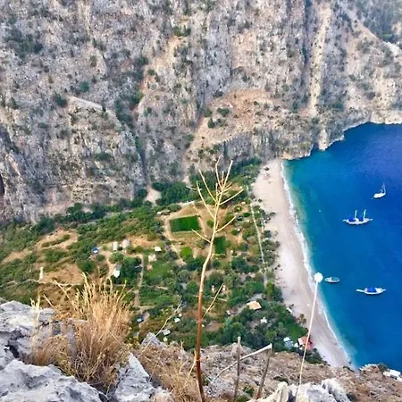 Butterfly Glamping + Camping + Bungalow Glamping Fethiye