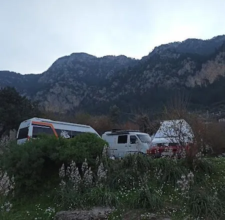 Butterfly Glamping + Camping + Bungalow Glamping *