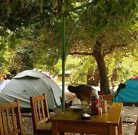 Butterfly Glamping + Camping + Bungalow * Fethiye